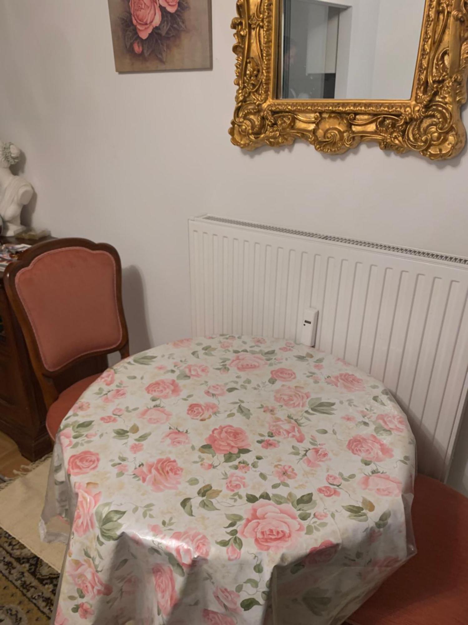 Einzimmerwohnung Am Jakomini Γκρατς Εξωτερικό φωτογραφία